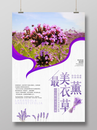 紫色唯美最美薰衣草心心相印永不分离宣传海报